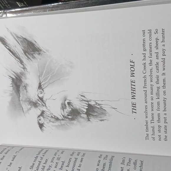 Scary Stories Treasury 1st edition - Picture 5 of 6